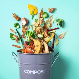 Composteur alimentaire